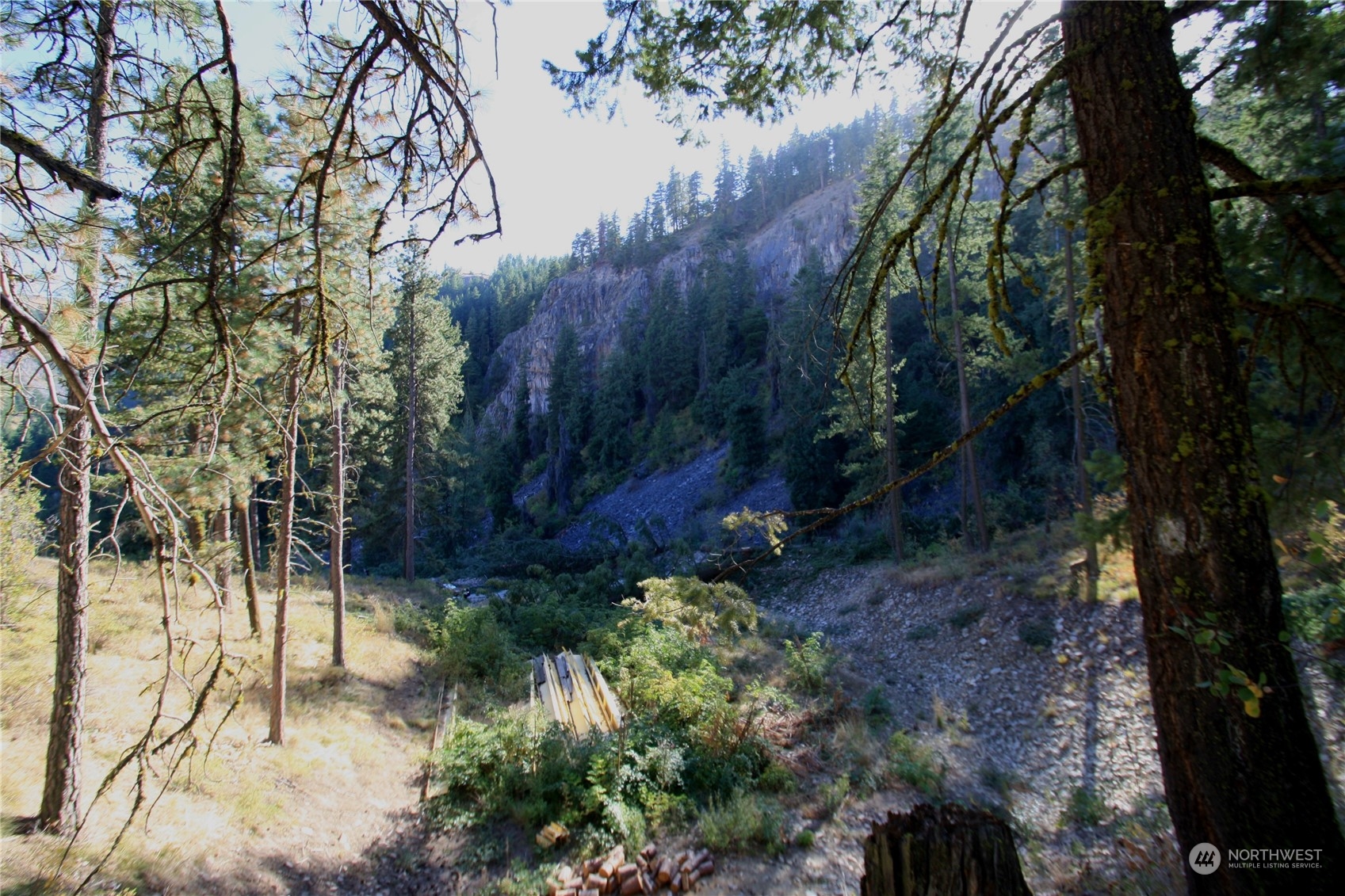 a view of a park