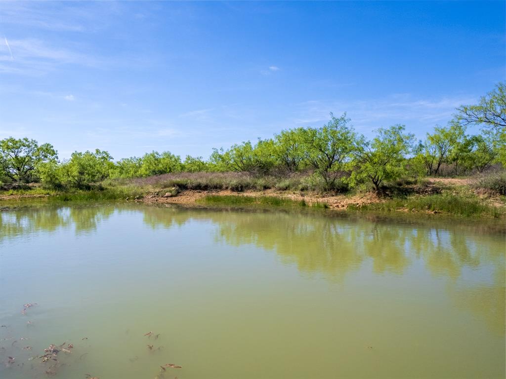 a view of a lake with houses in the background