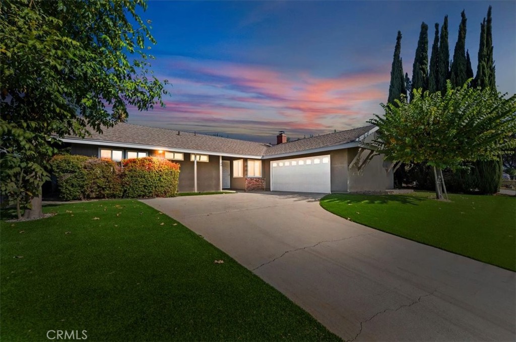 a very nice looking yard with a large tree