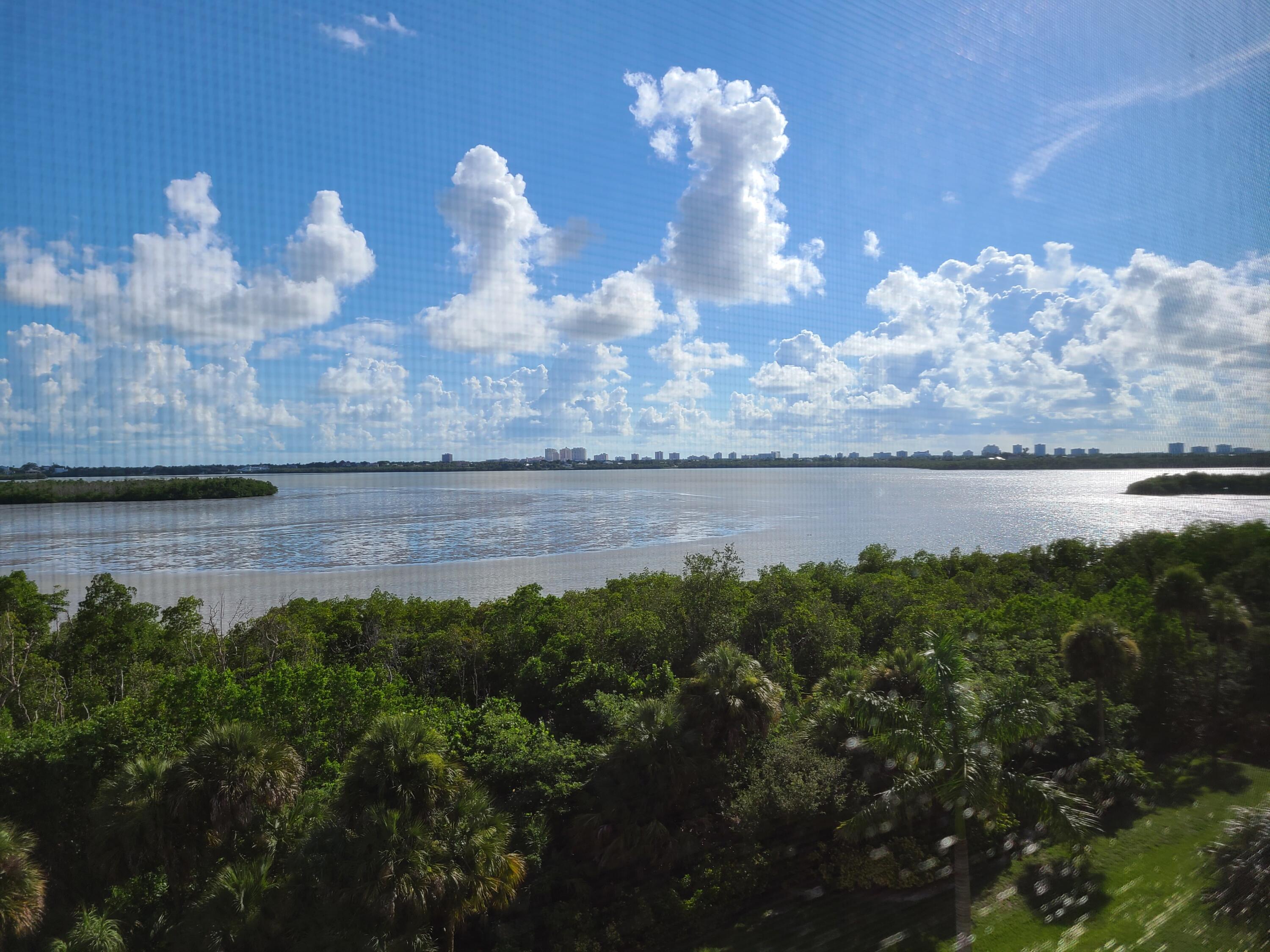 a view of a lake in middle of forest