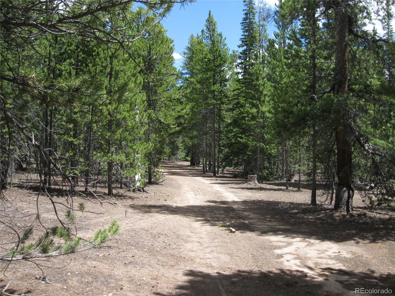 a view of road with trees