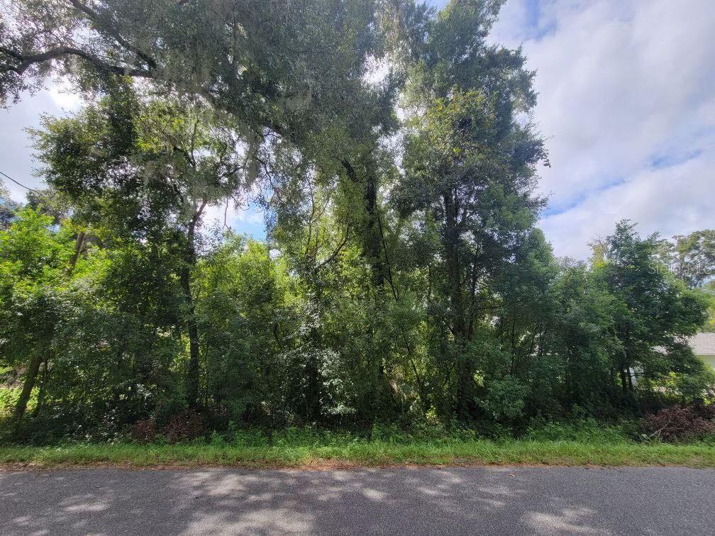 a green field with lots of trees