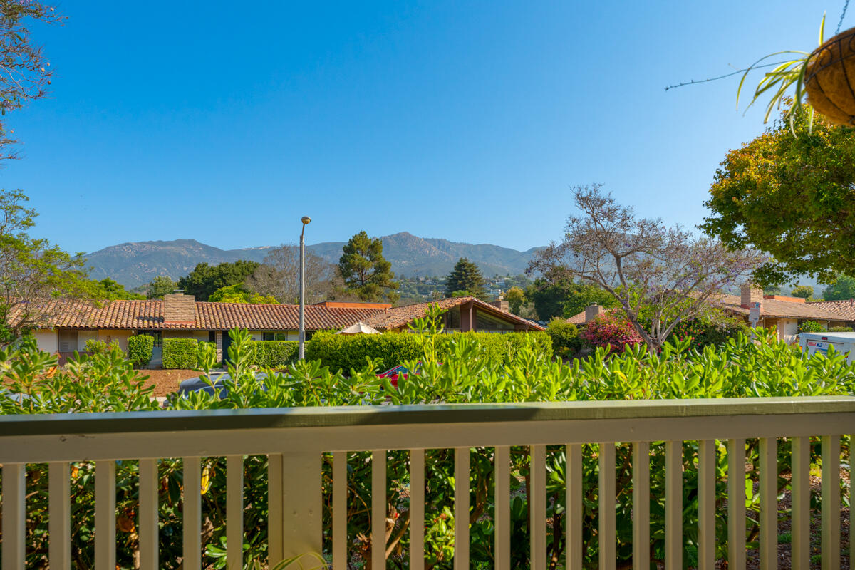 a view of a garden