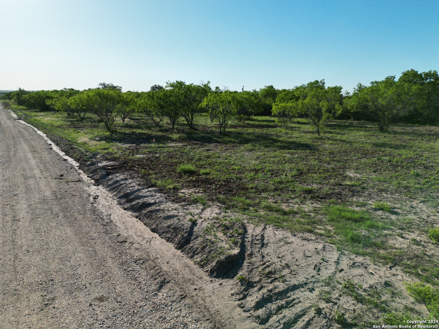 a view of a field with trees in the background