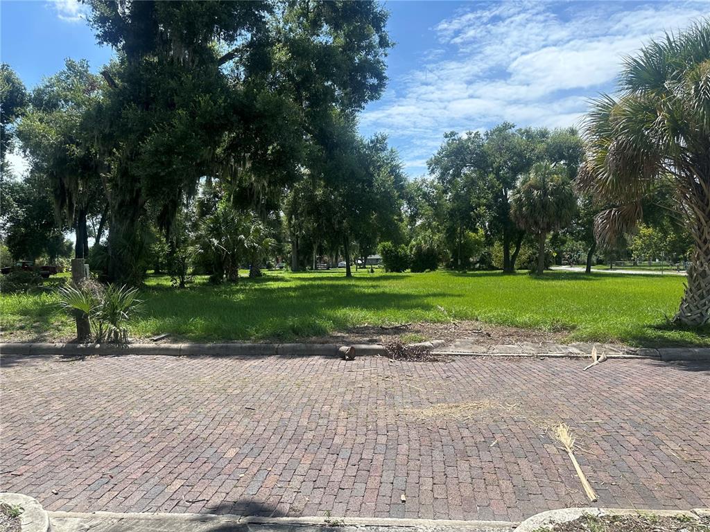 a view of a park with large trees