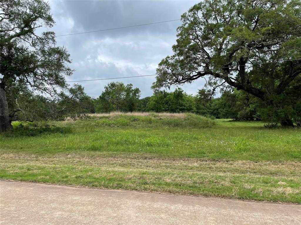 a view of a field with a tree in the background