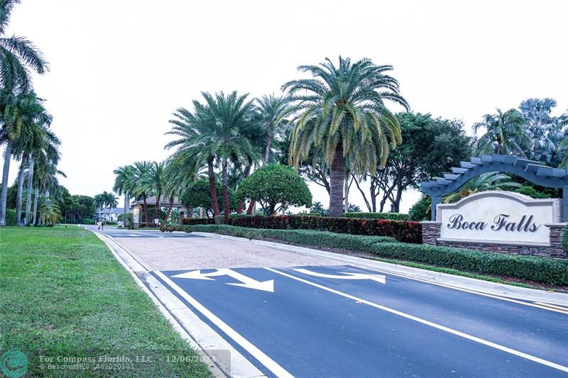 a view of a yard and palm trees