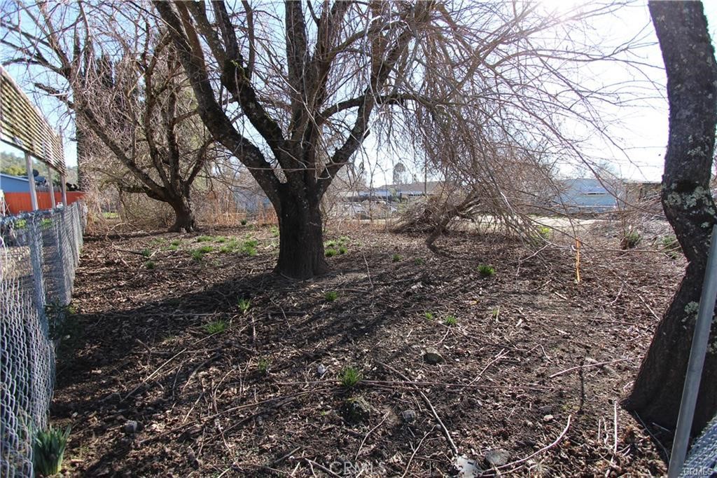 a view of a yard with trees