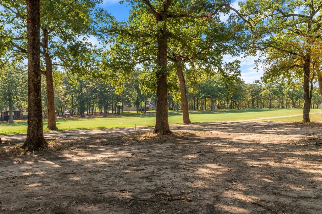 a view of a yard with a trees