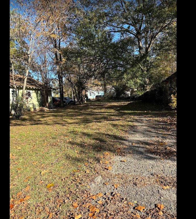 a view of a yard with large trees