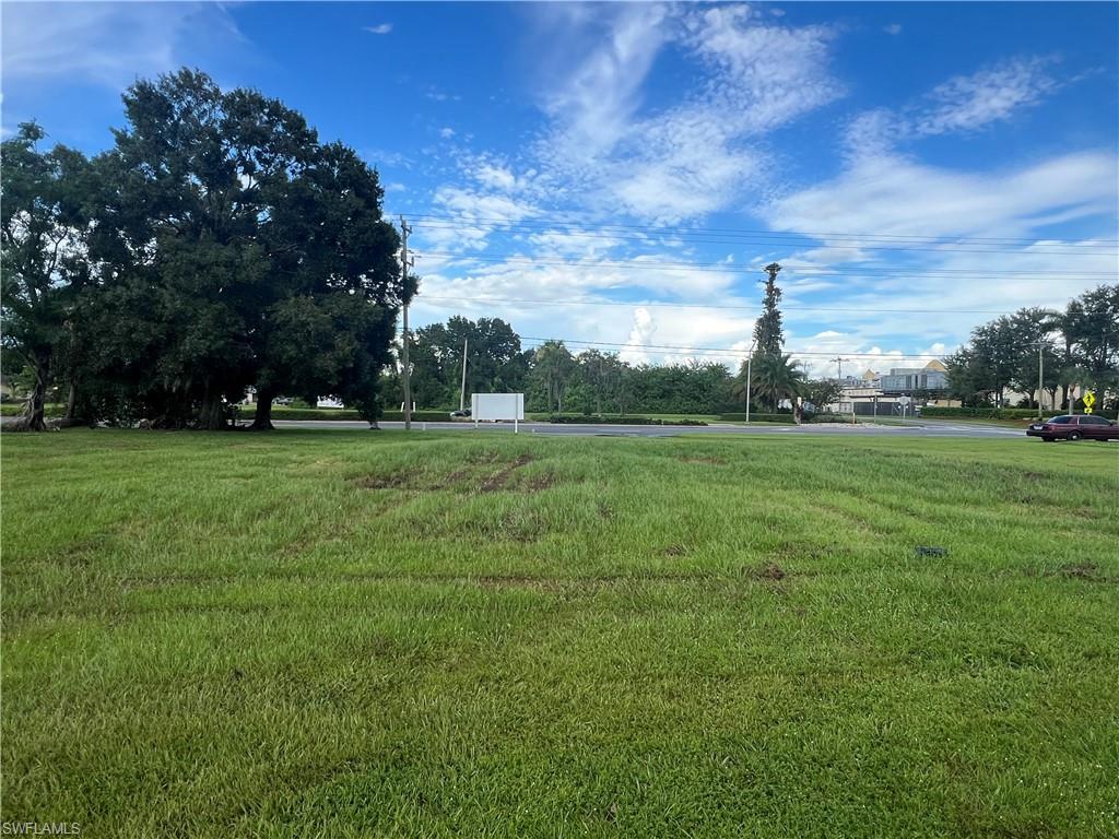 a view of a park with trees and buildings