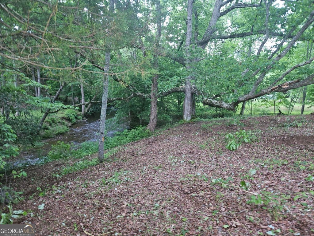 a view of a yard with a tree