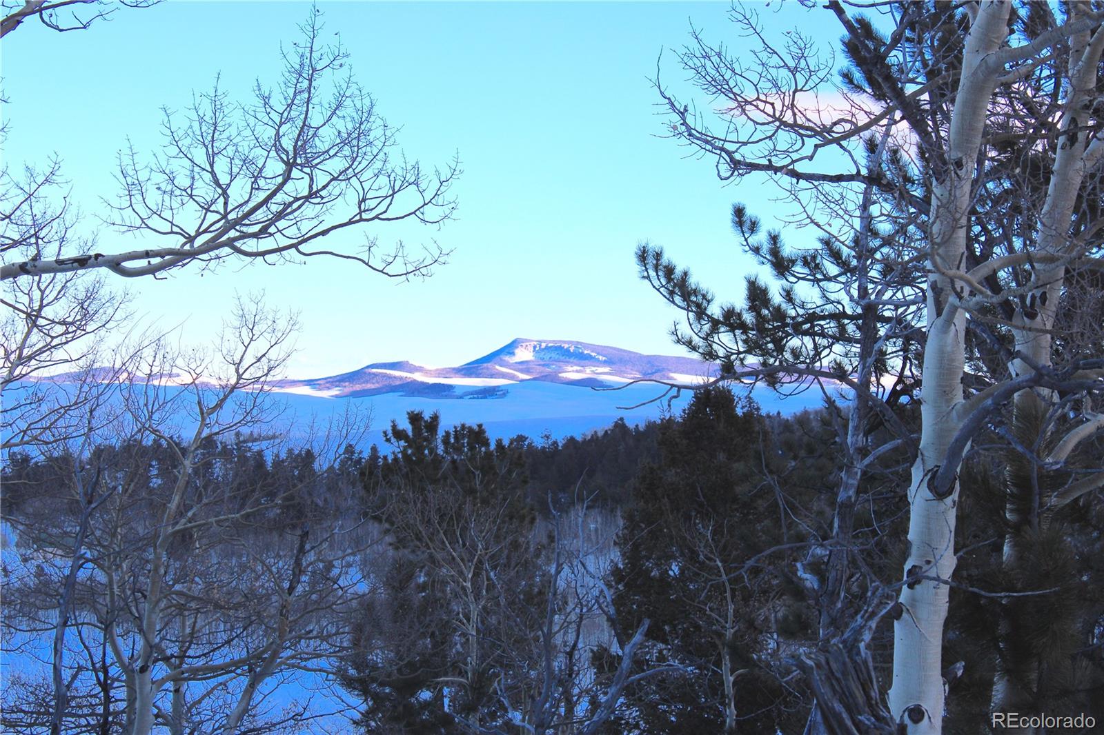 a view of a backyard of a house with a mountain