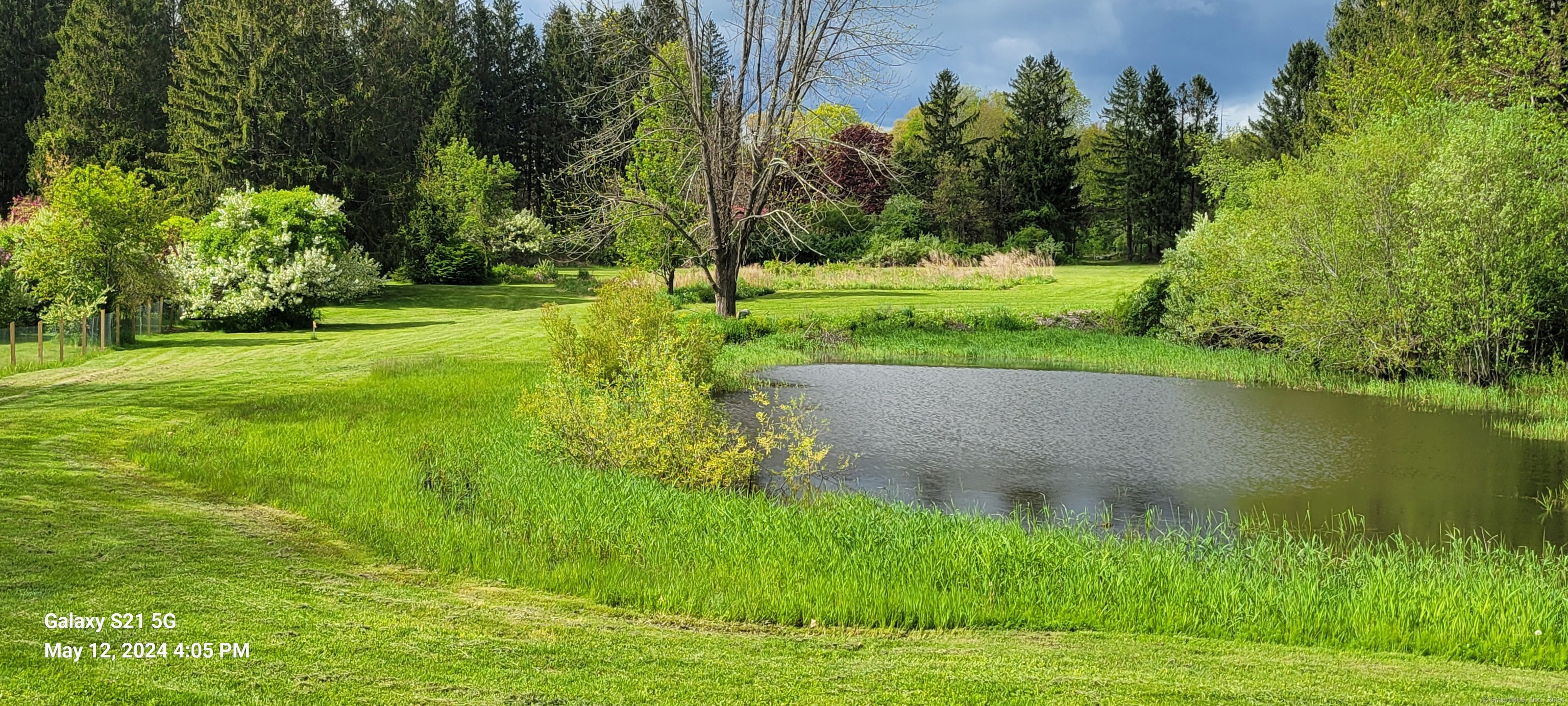 Pond toward rear of lot, pic facing proposed house location
