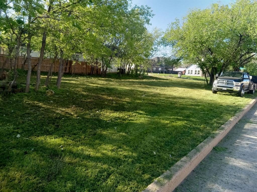 a view of a park that has large trees