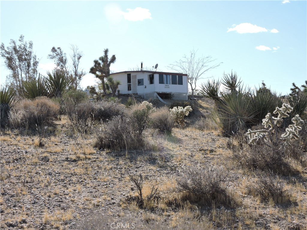 a view of a dry yard with trees