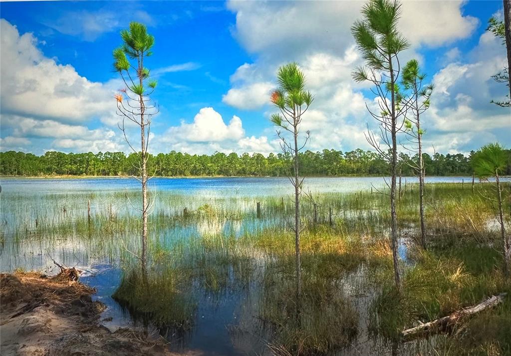 a lake view with a lake view