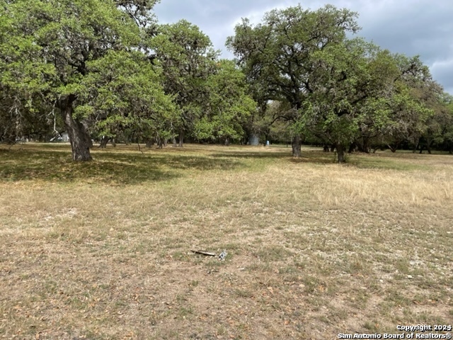 a view of a field with trees