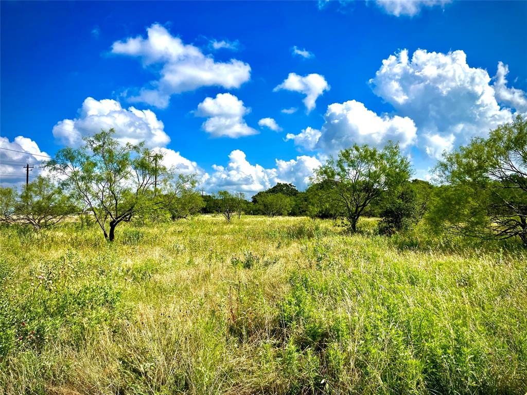 a view of a flower garden