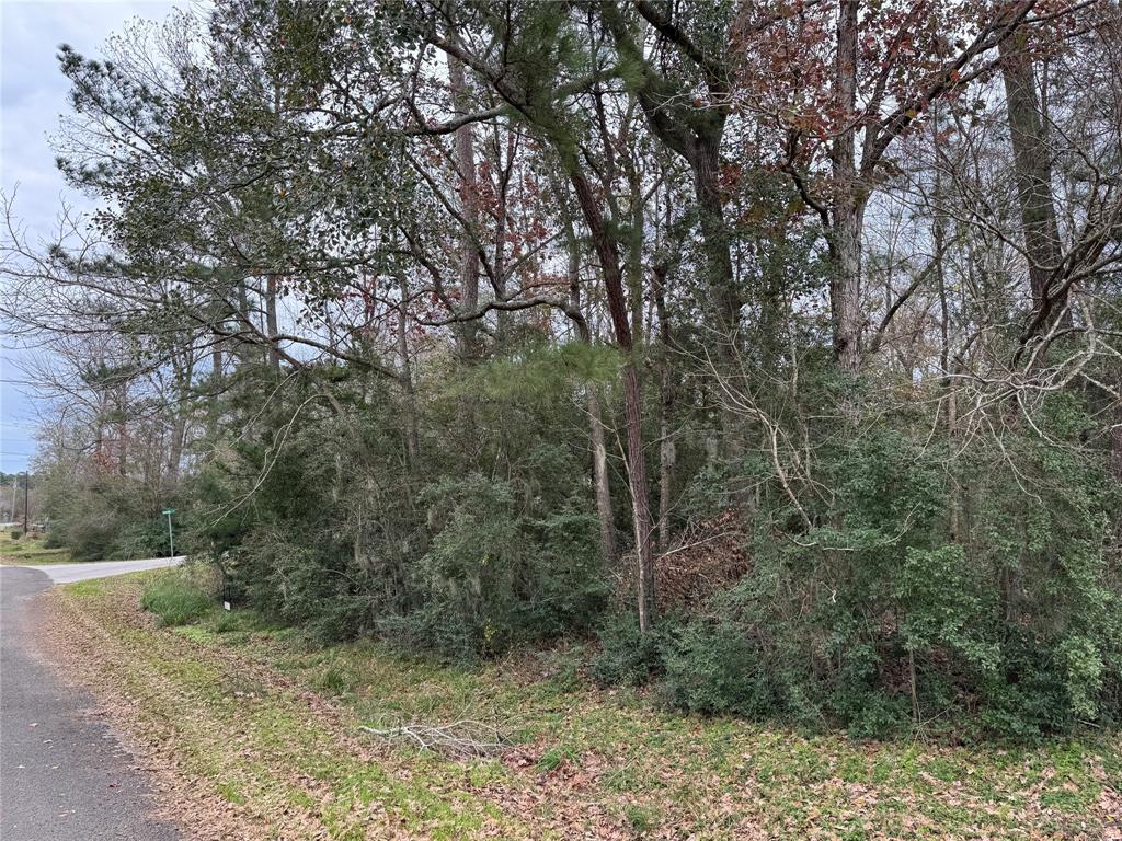 Corner lots located in Cedar Point on Lake Livingston