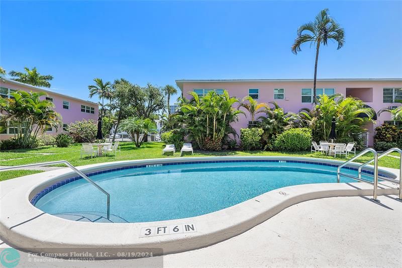 a view of a swimming pool with a yard