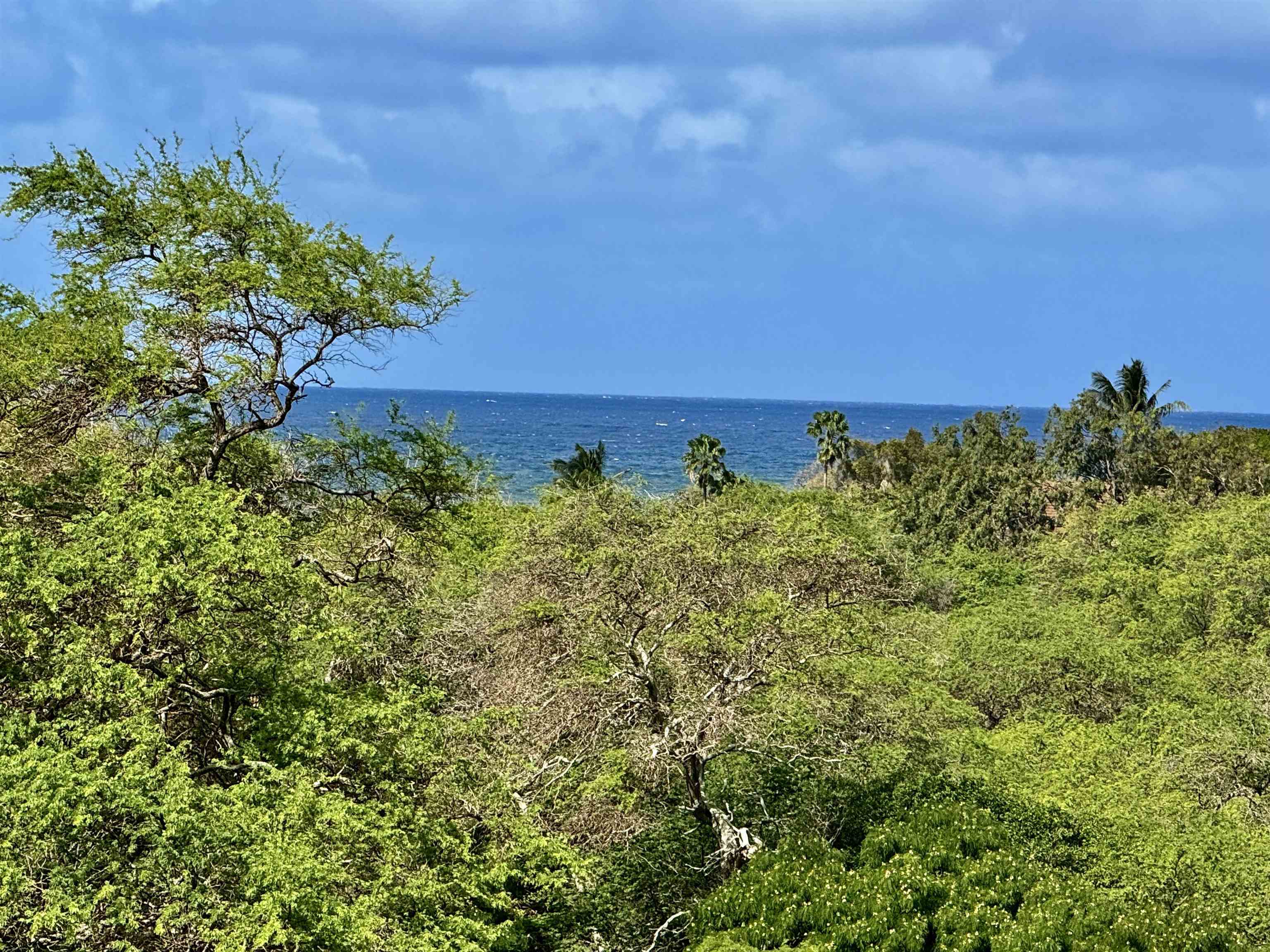 a view of a green field