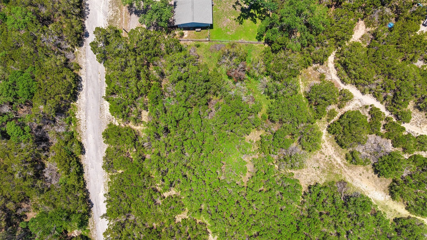 a view of a house with a lush green forest