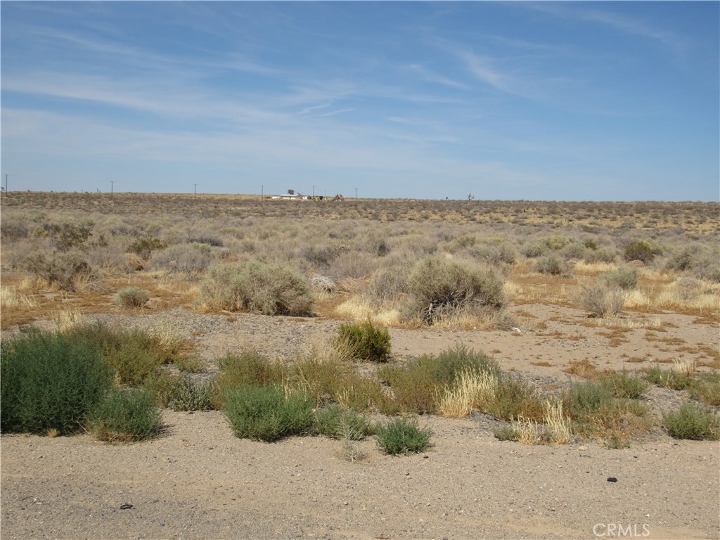 a view of a field with trees in it