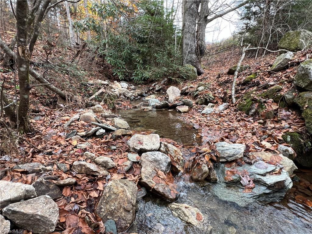 Creek that runs through the property and along entrance.