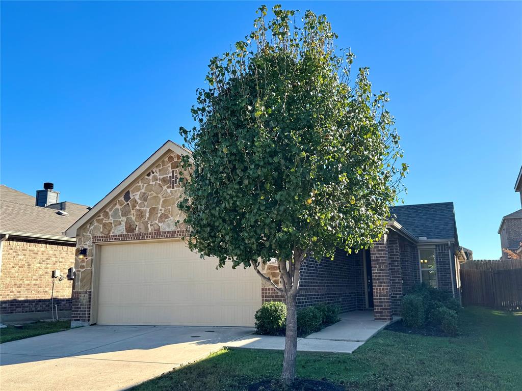 a tree in a house next to a yard