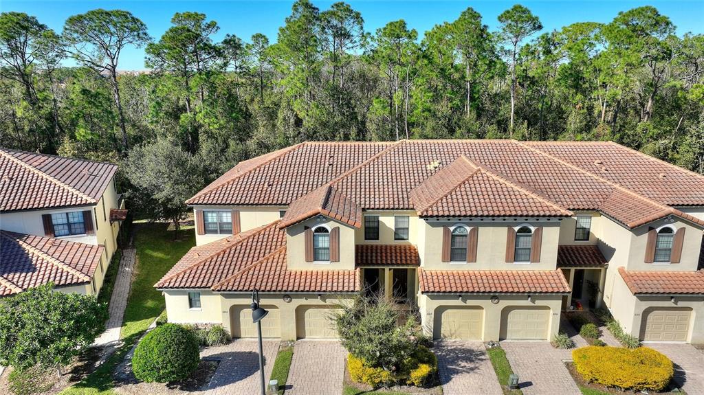 aerial view of a house with a yard and potted plants