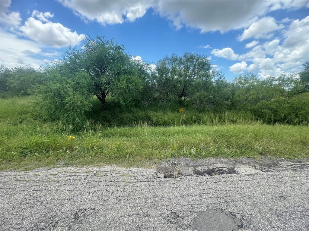 a view of a yard with a tree