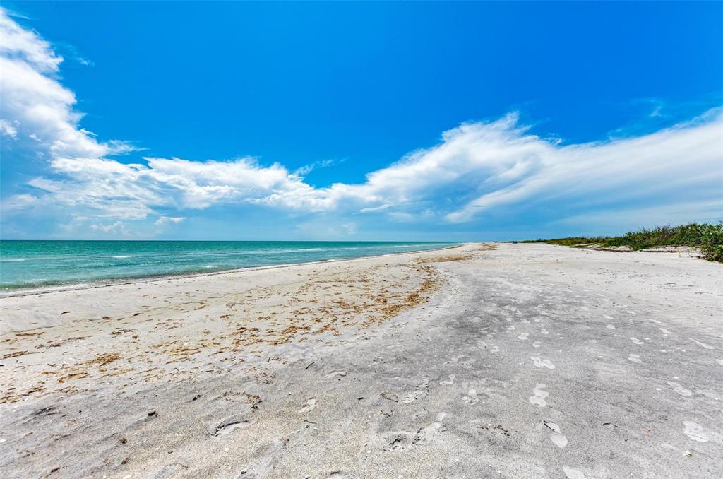 a view of beach and ocean