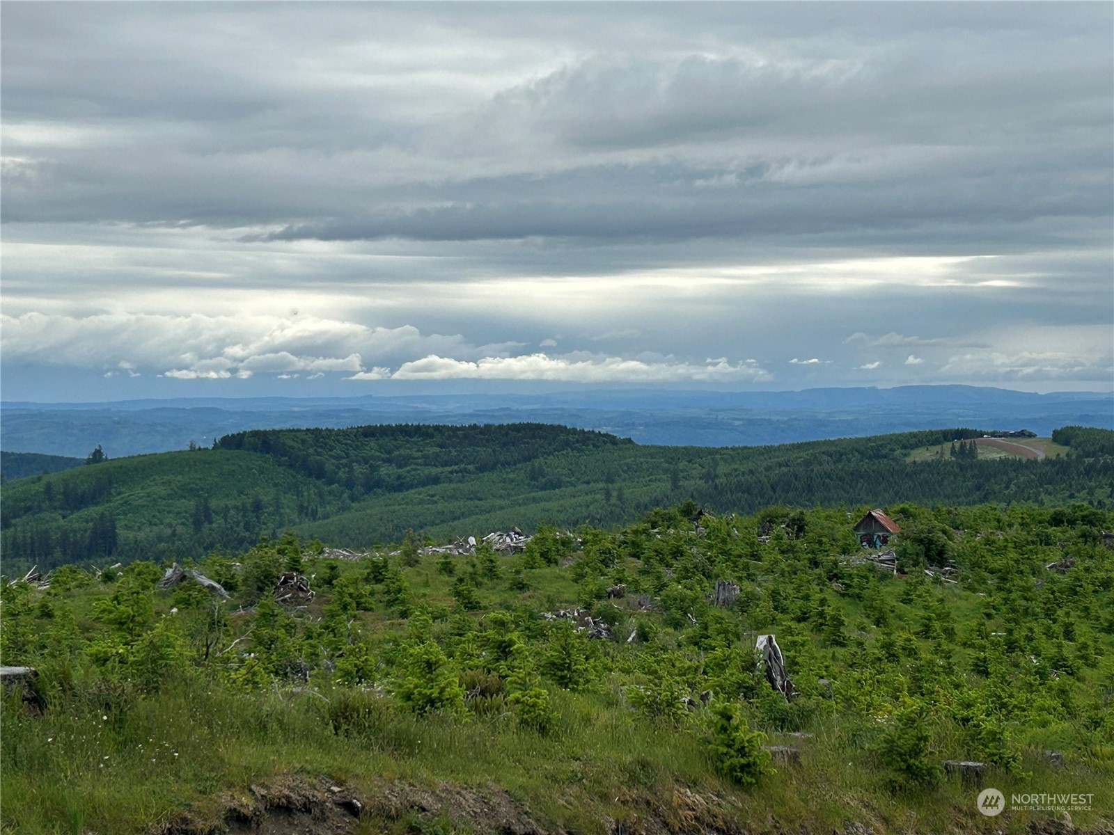 a view of a city with lush green forest