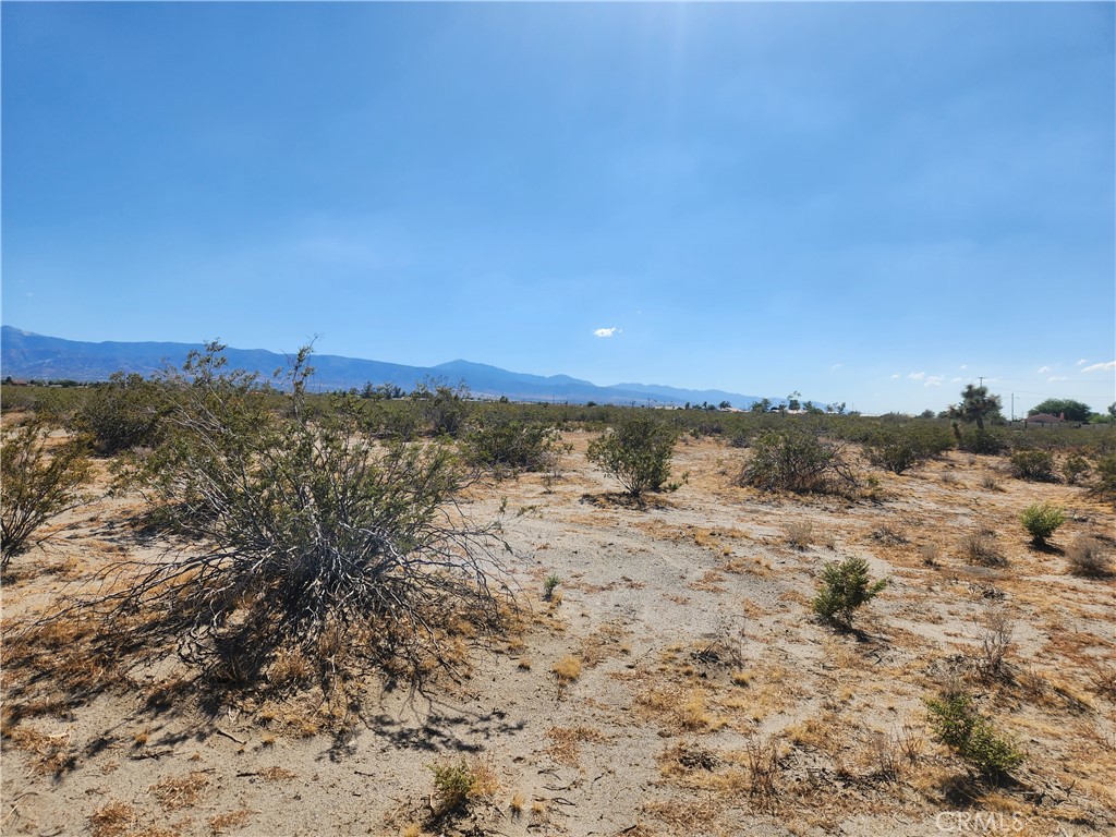 a view of beach and mountain