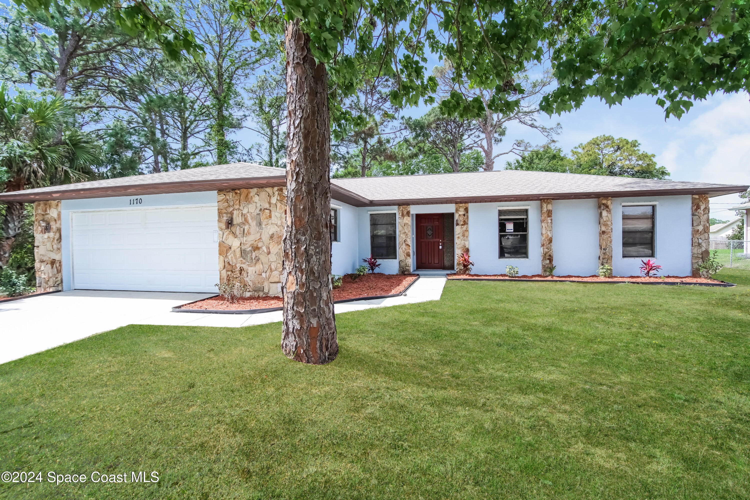 a view of a house with a backyard and a tree