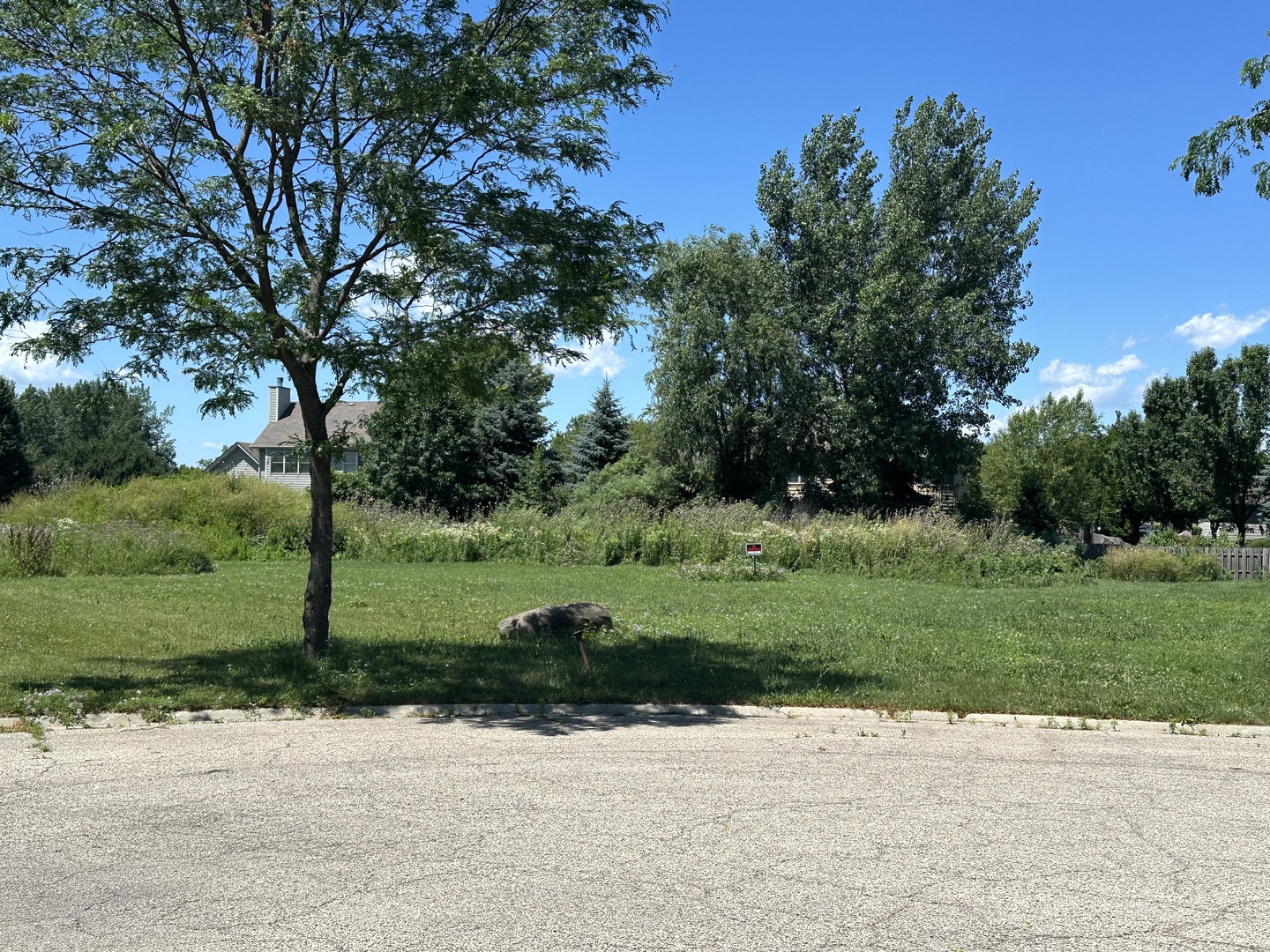 a view of a park with a tree in the background