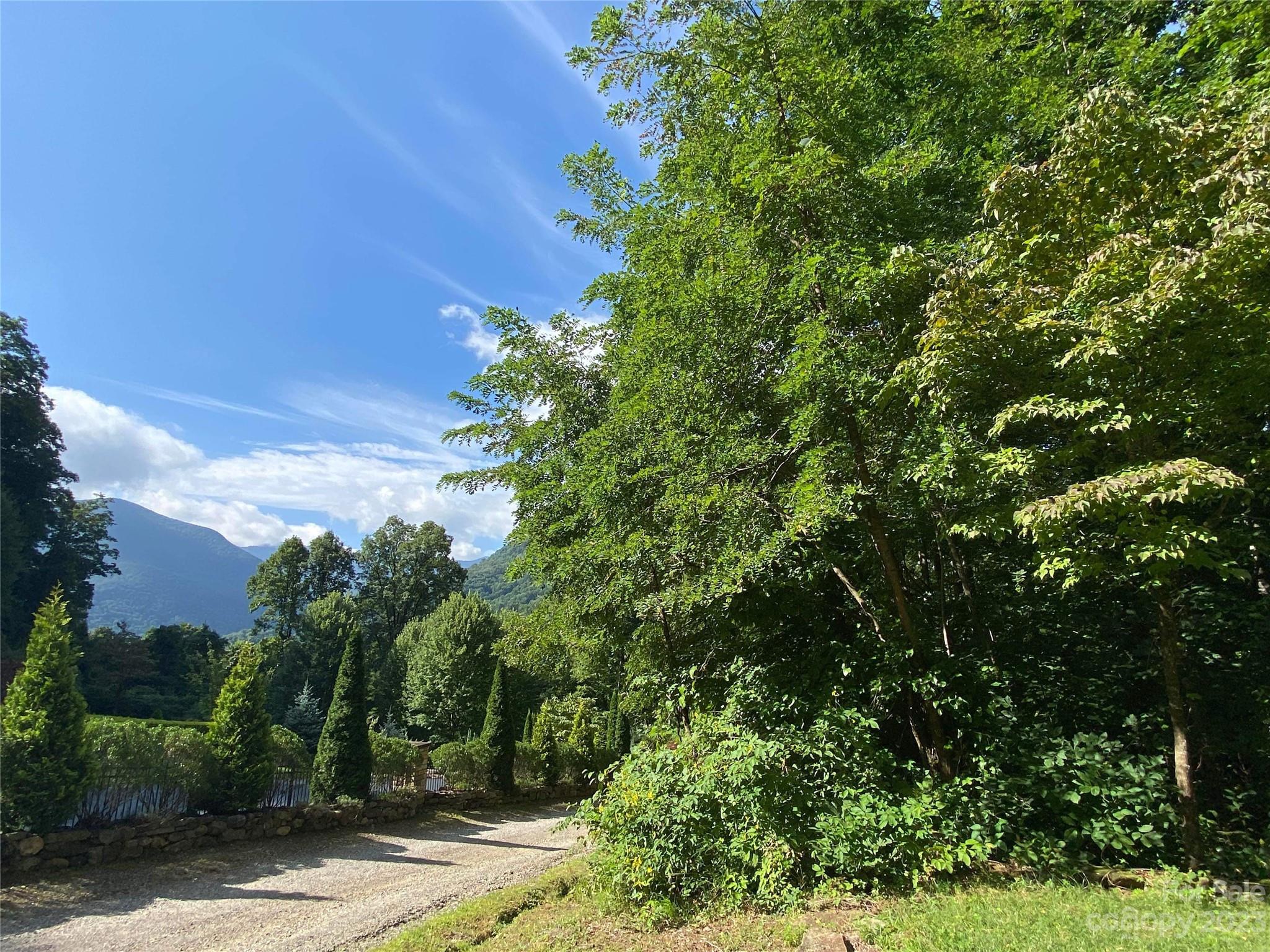 a view of a yard with plants and a trees