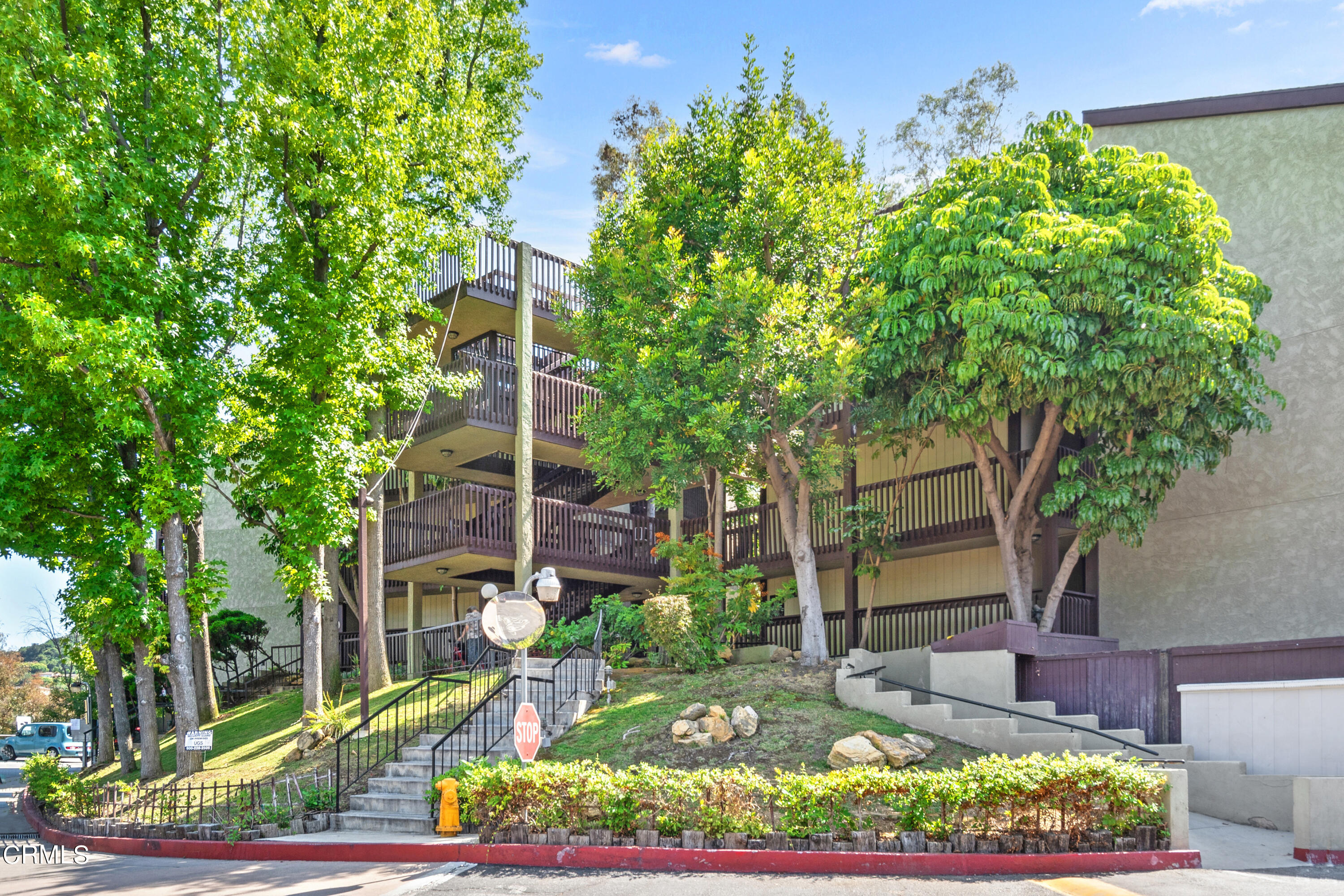 front view of a house with a tree