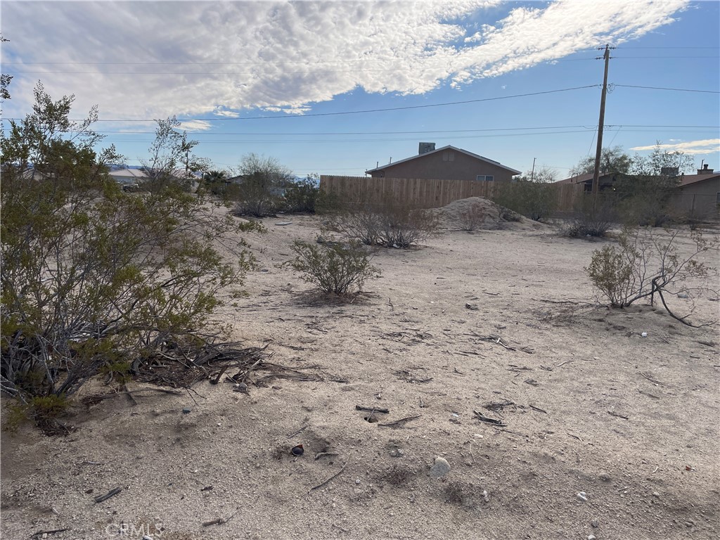 a view of a dry yard with wooden fence