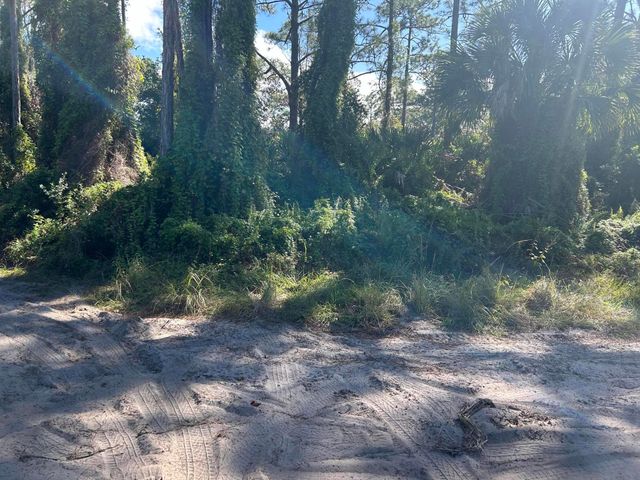 $185,000 | 0 Slash Pine Trail | Lakewood Park