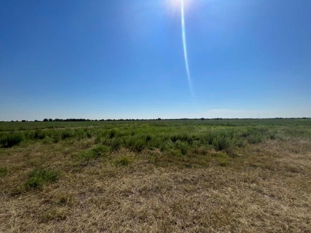 a view of a field with an ocean