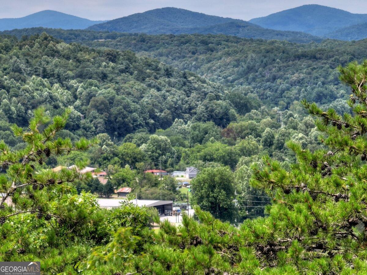 a view of a lush green forest with trees in the background