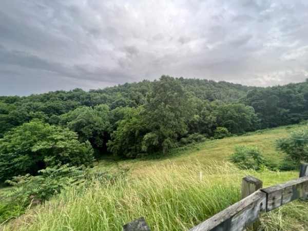 a view of a lush green space with sea