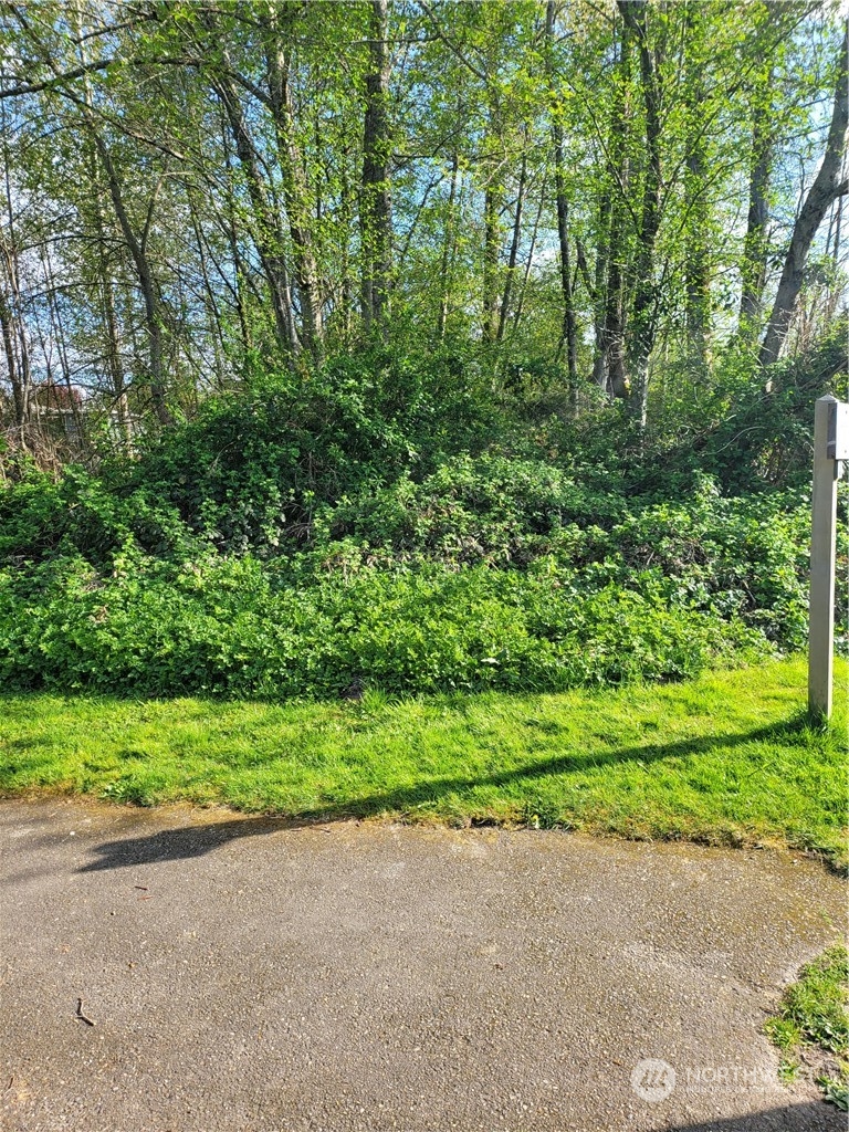 a view of a garden with a plants and trees