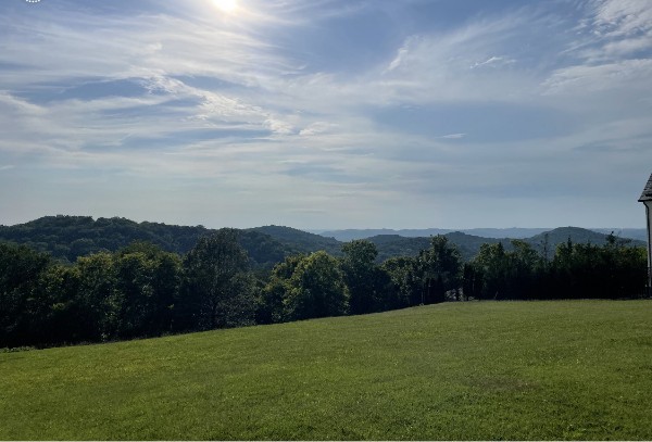 a view of a grassy field and mountains