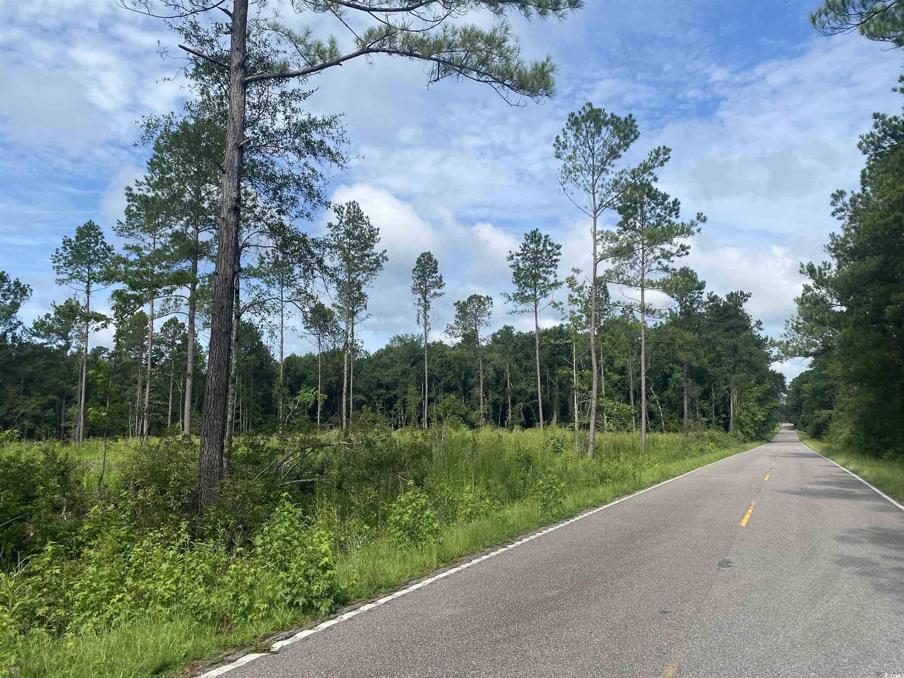 View of road