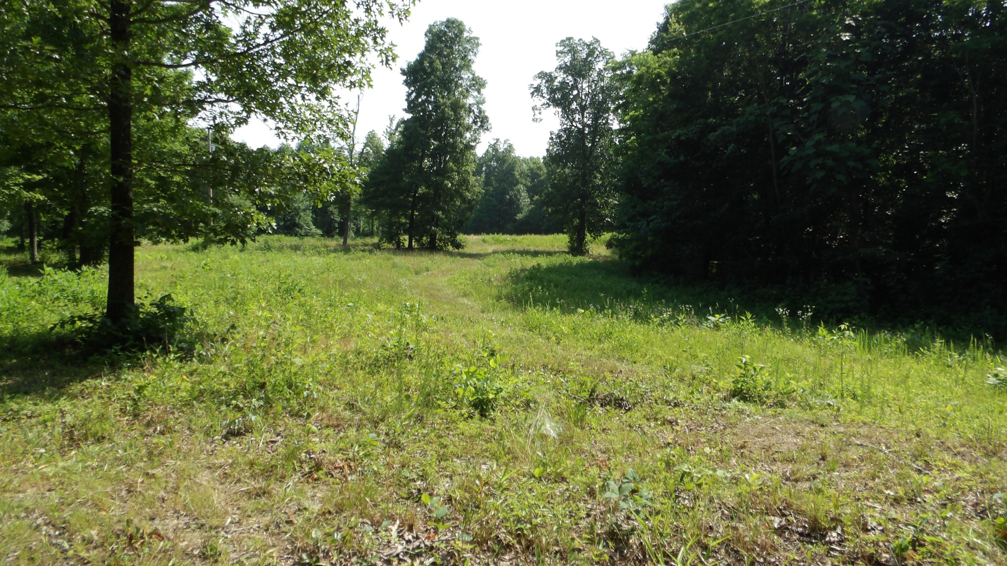 a view of outdoor space