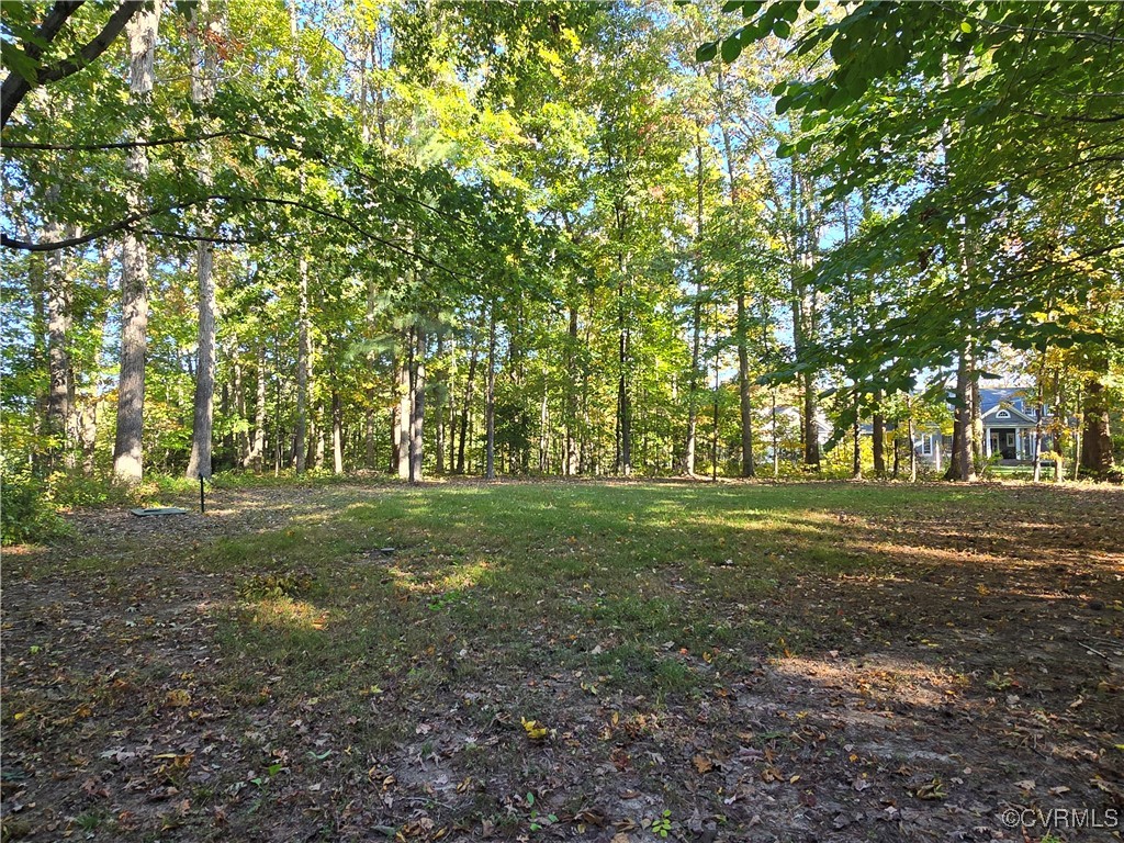 a view of a field with trees