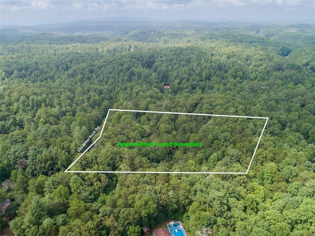 a view of a field and trees in the background